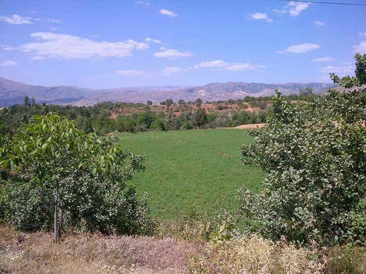 Kemah Doğanbeyli Köyü Resimleri 4