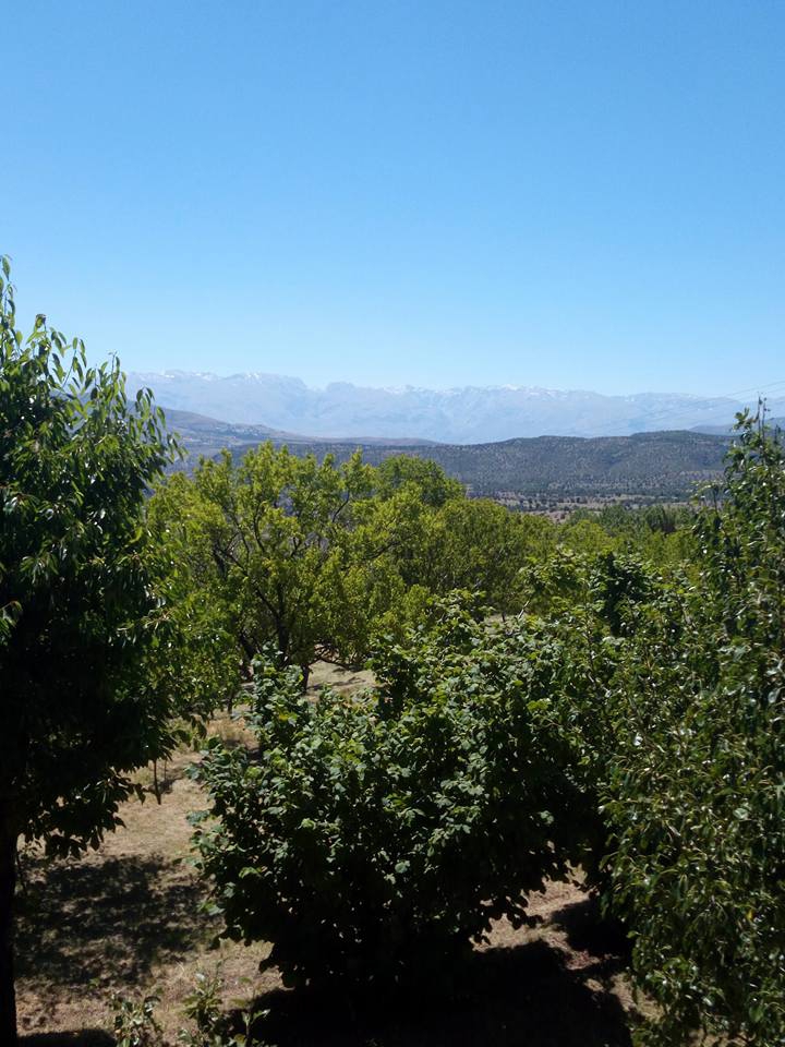 Kemah Elmalı Köyü Resimleri 4