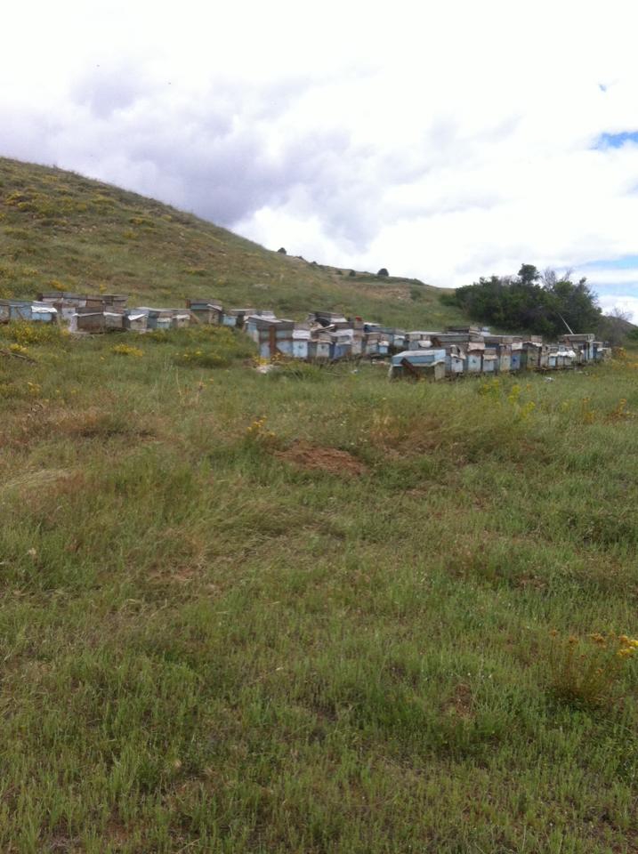 Kemah Eriç Köyü Resimleri 1