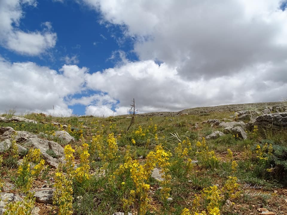 Kemah Eskibağlar Köyü Resimleri 5