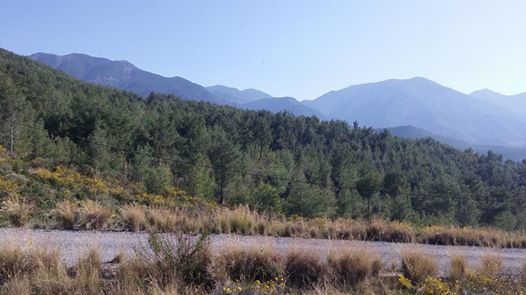 Arsuz Çetillik Köyü Resimleri 1