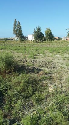 Arsuz Gökmeydan Köyü Resimleri 1