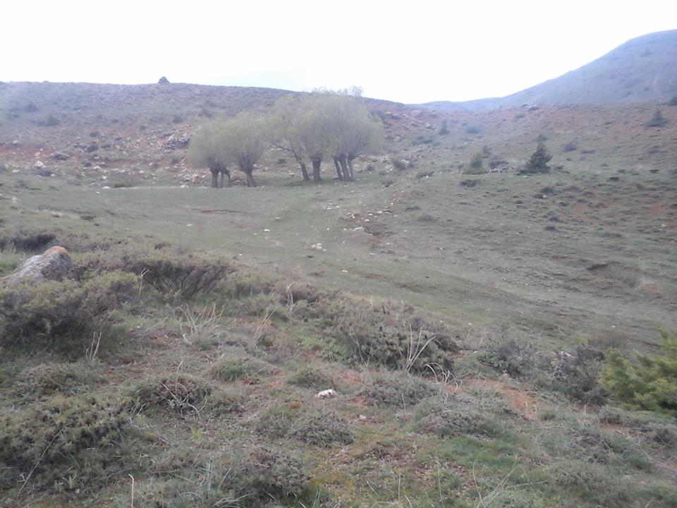 Elazığ Kepektaşı Köyü Resimleri 3
