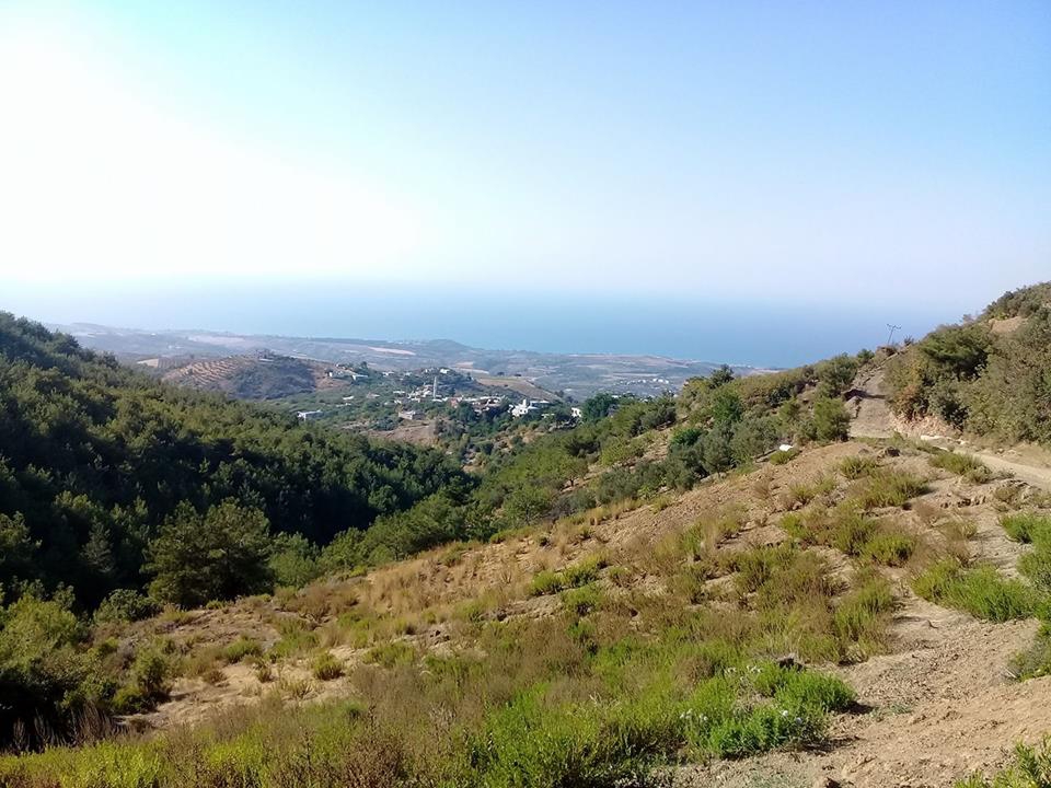 Arsuz Harlısu Köyü Resimleri 6