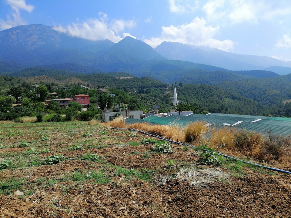 Arsuz Haymaseki Köyü Resimleri 10
