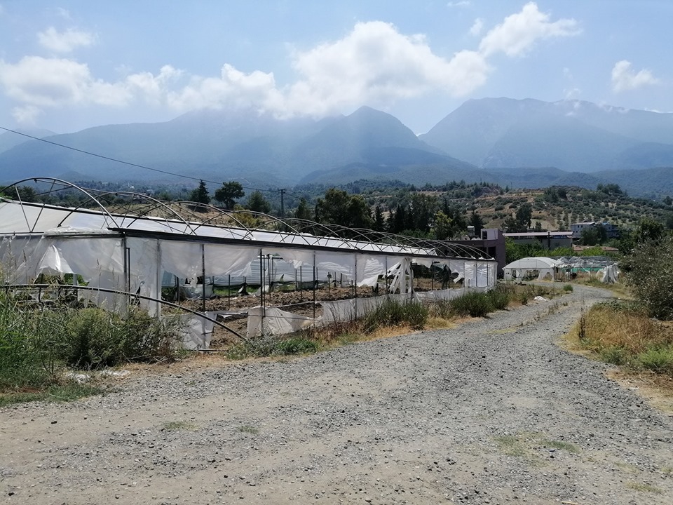 Arsuz Haymaseki Köyü Resimleri 7