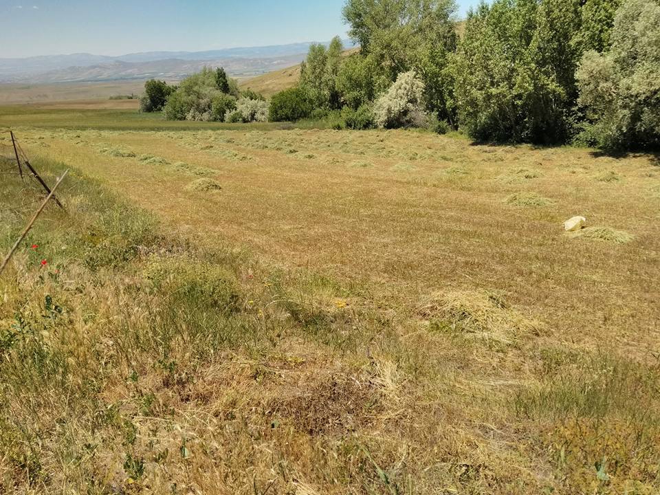 Gemerek Öziçi Köyü Resimleri 30