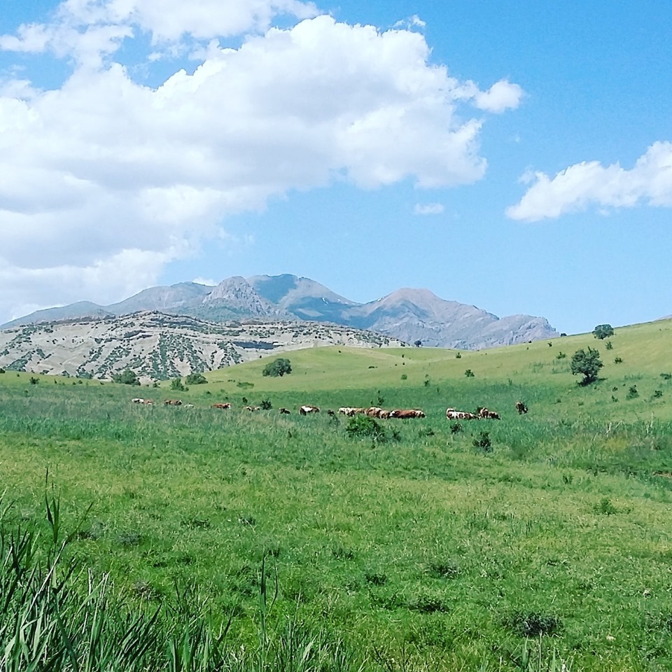 Kemah Gökkaya Köyü Resimleri 2