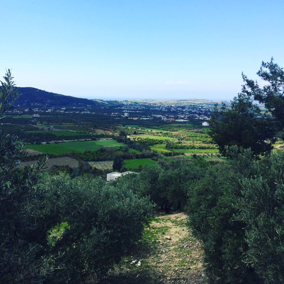 Arsuz Hüyük Köyü Resimleri 3