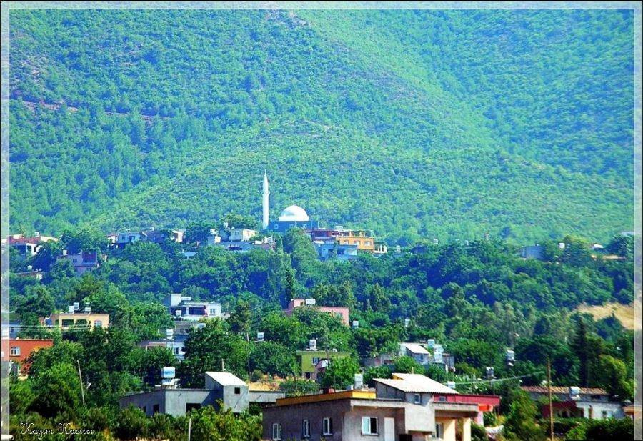 Arsuz Işıklı Köyü Resimleri 9