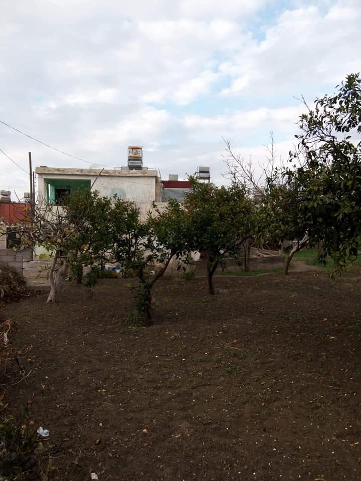 Arsuz Kışla Köyü Resimleri 3