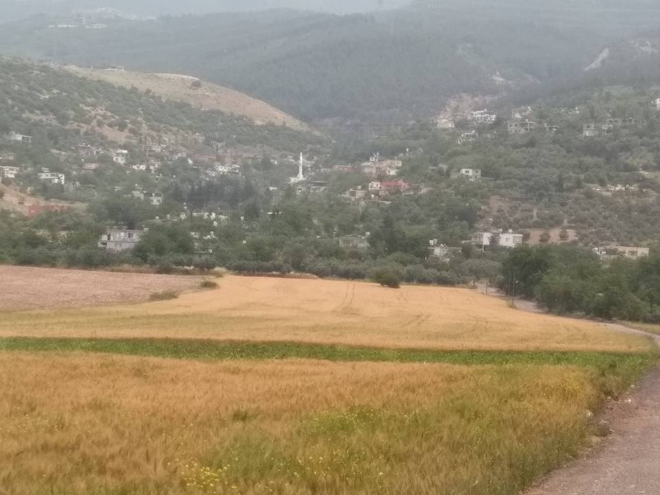 Arsuz Nardüzü Köyü Resimleri 1