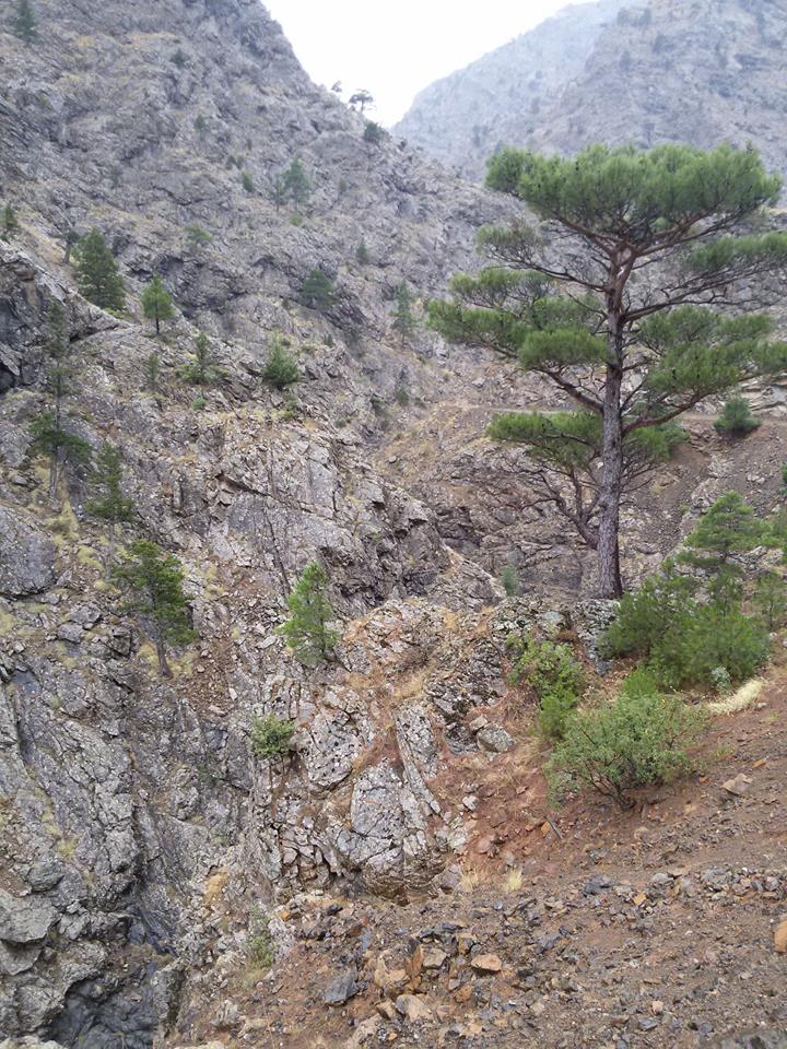 Adana Pozantı Hamidiye Köyü Resimleri 12