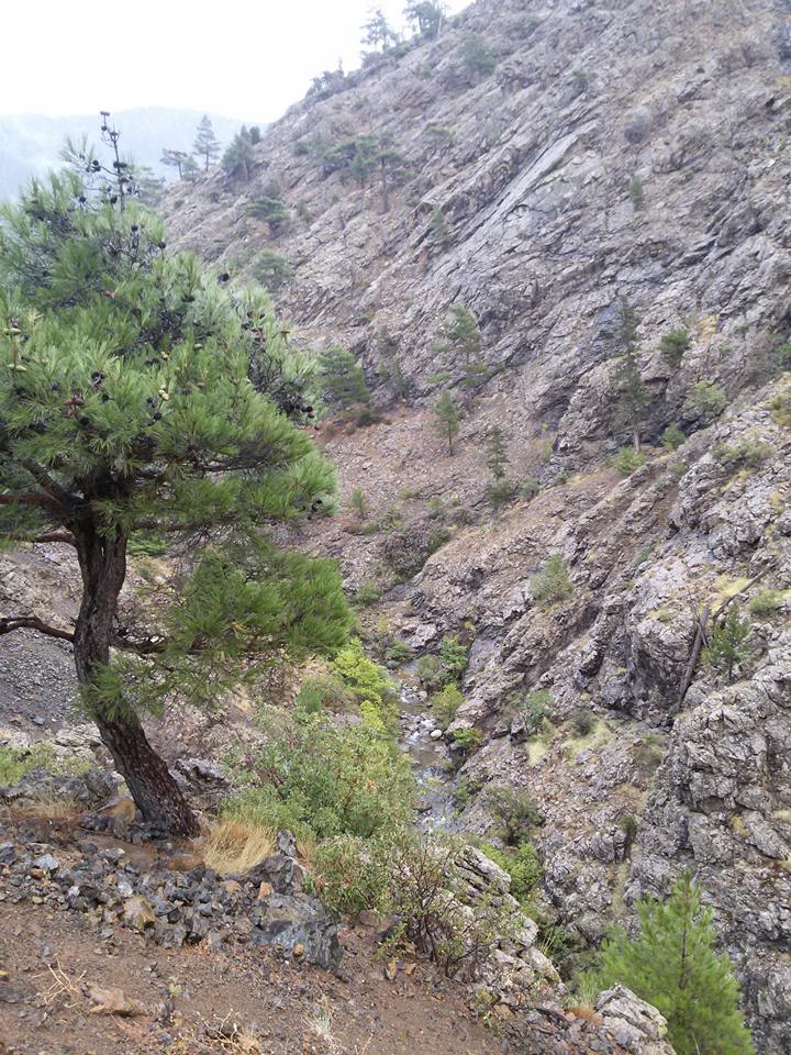 Adana Pozantı Hamidiye Köyü Resimleri 13