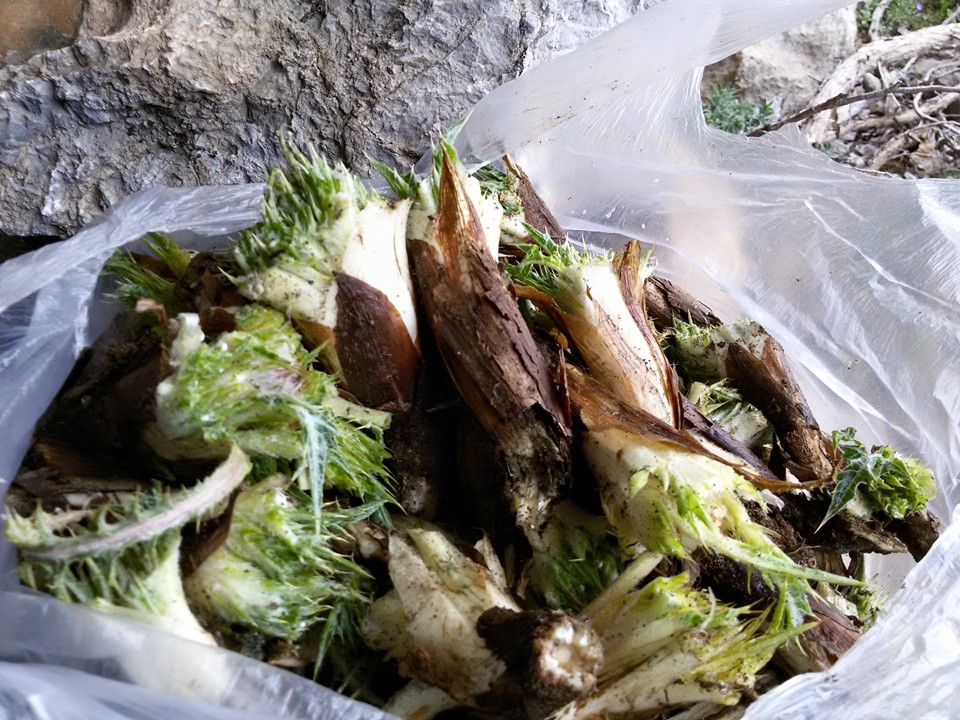 Adana Pozantı Hamidiye Köyü Resimleri 16