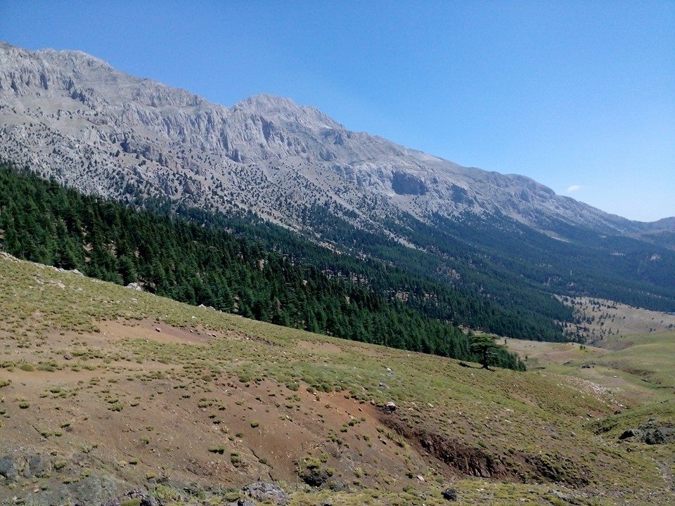 Adana Pozantı Hamidiye Köyü Resimleri 17