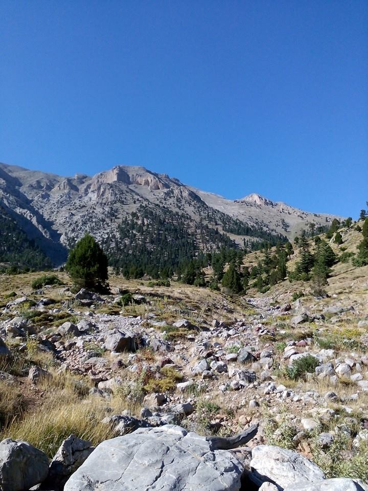 Adana Pozantı Hamidiye Köyü Resimleri 20