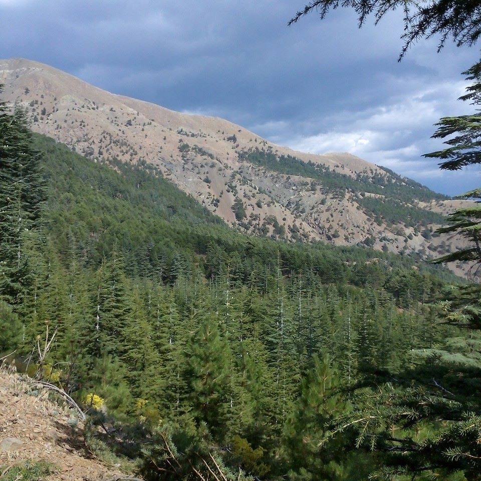 Adana Pozantı Hamidiye Köyü Resimleri 21