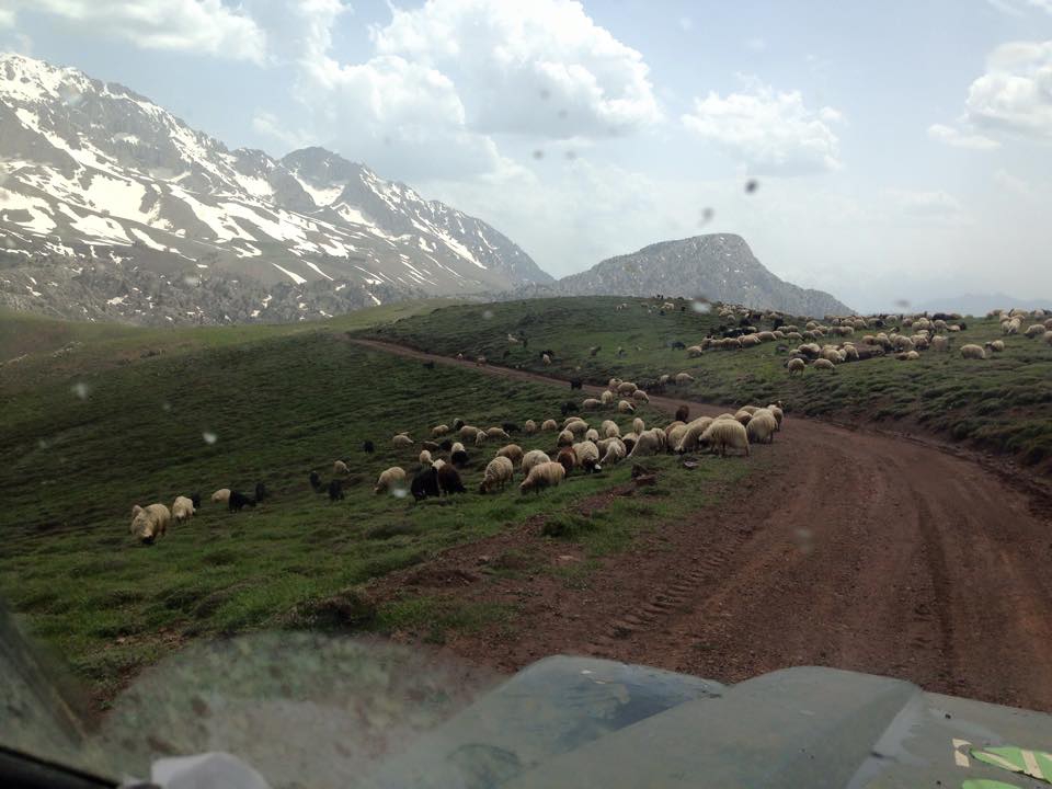 Adana Pozantı Hamidiye Köyü Resimleri 3