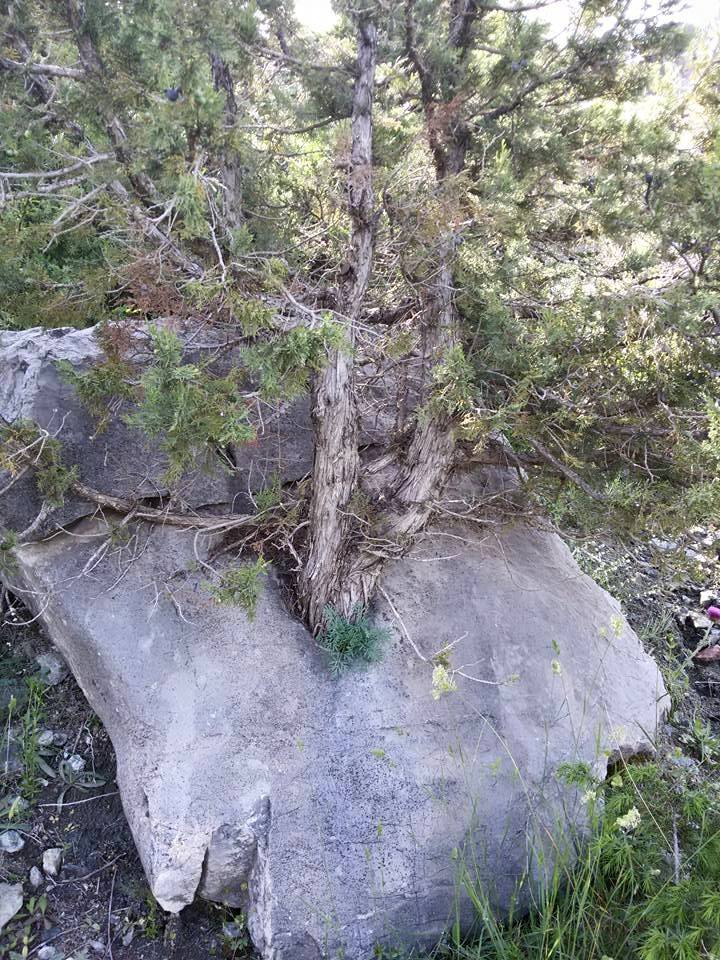 Adana Pozantı Hamidiye Köyü Resimleri 37