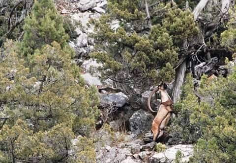 Adana Pozantı Hamidiye Köyü Resimleri 4