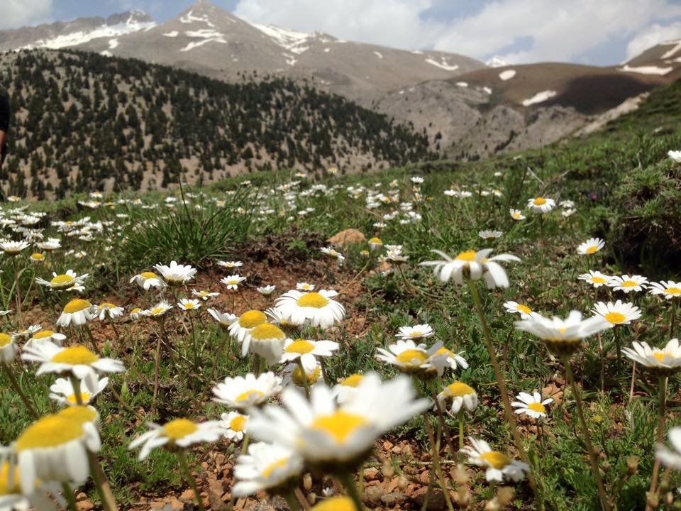 Adana Pozantı Hamidiye Köyü Resimleri 5
