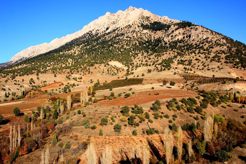 Adana Pozantı Hamidiye Köyü Resimleri 7