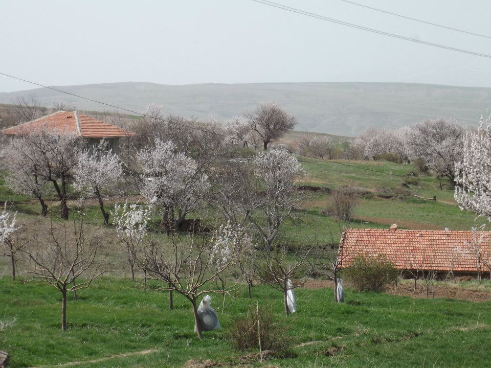 Gemerek Tatlıpınar Köyü Resimleri 11
