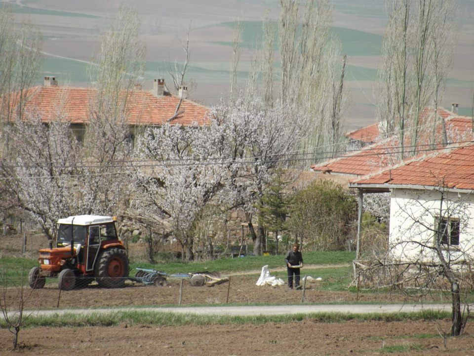 Gemerek Tatlıpınar Köyü Resimleri 12