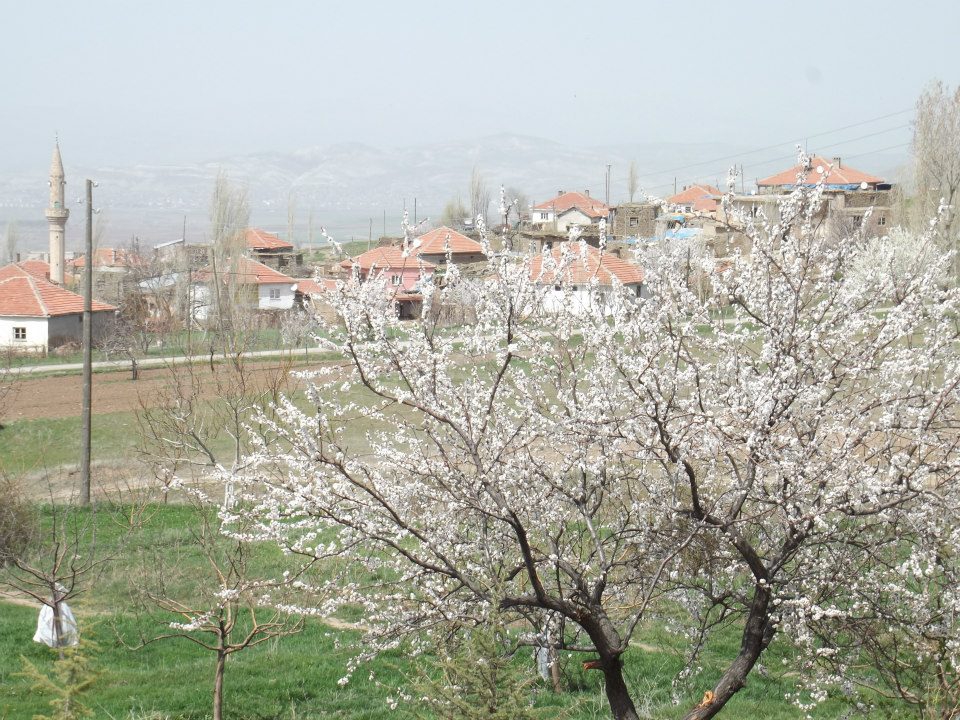 Gemerek Tatlıpınar Köyü Resimleri 13