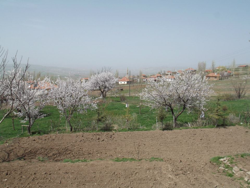 Gemerek Tatlıpınar Köyü Resimleri 5