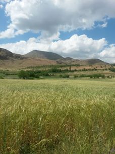 Elazığ Kumla Köyü Resimleri 2