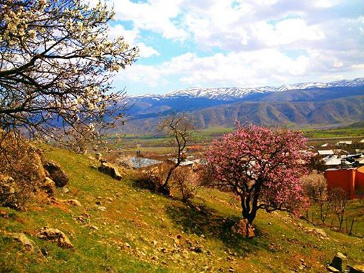 Elazığ Kumla Köyü Resimleri 4