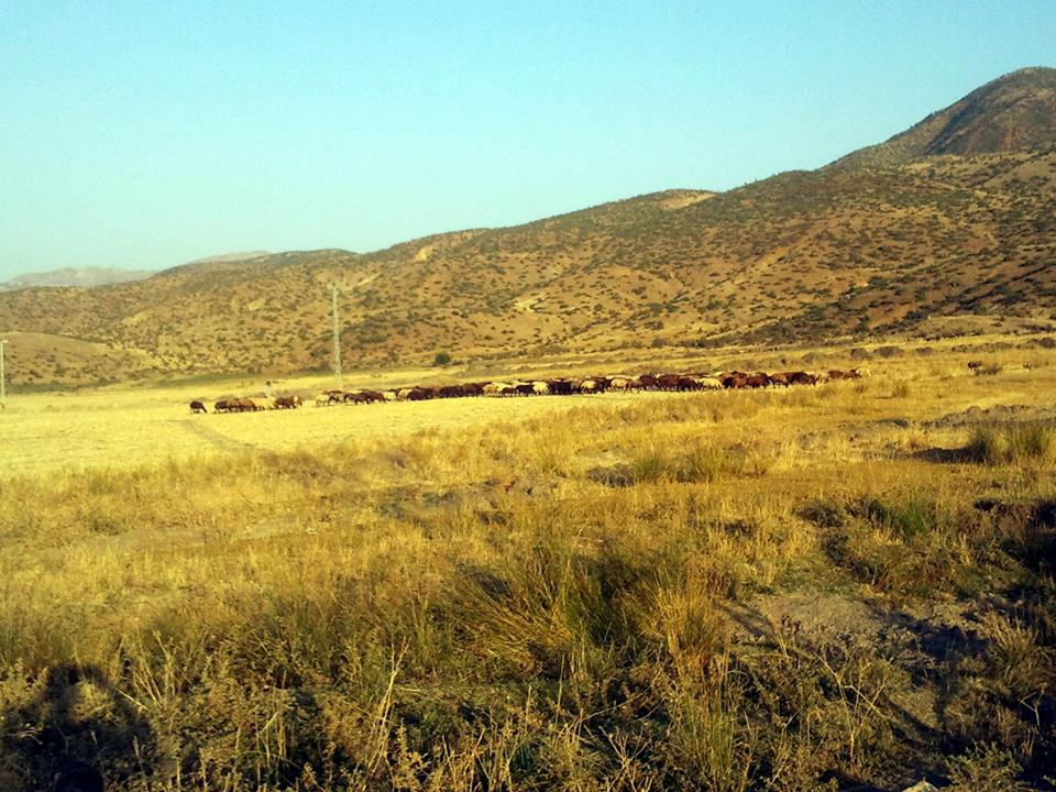 Elazığ Kuşhane Köyü Resimleri 1