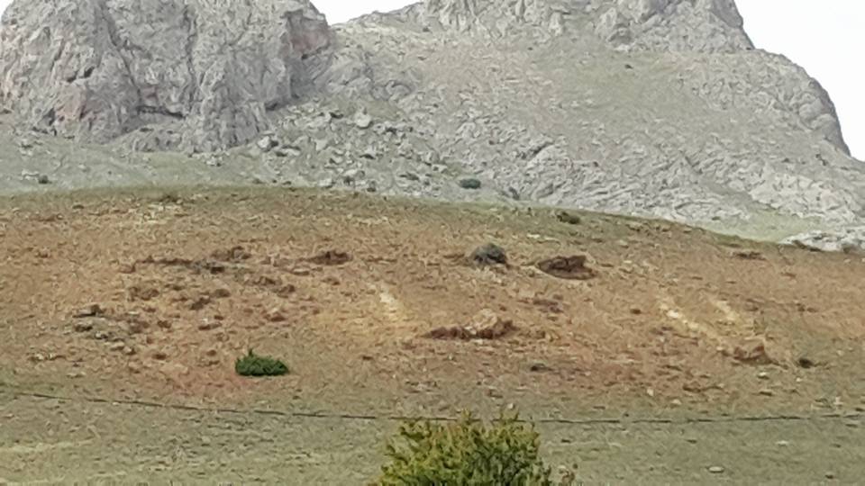 Gemerek Yeşilöz Köyü Resimleri 12