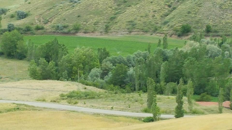 Gemerek Yeşilöz Köyü Resimleri 24