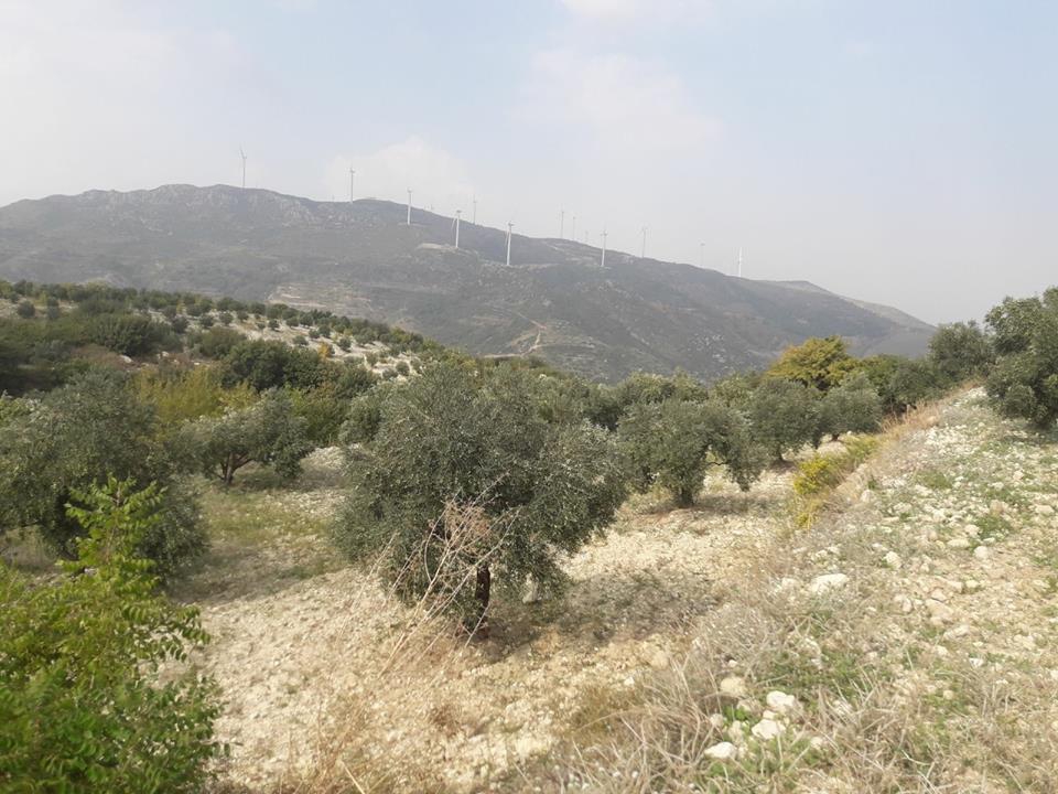 Defne Karşıyaka Köyü Resimleri 1