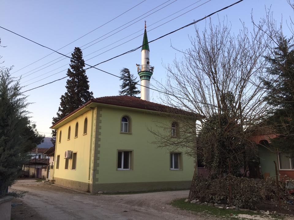 Defne Özbek Köyü Resimleri 1