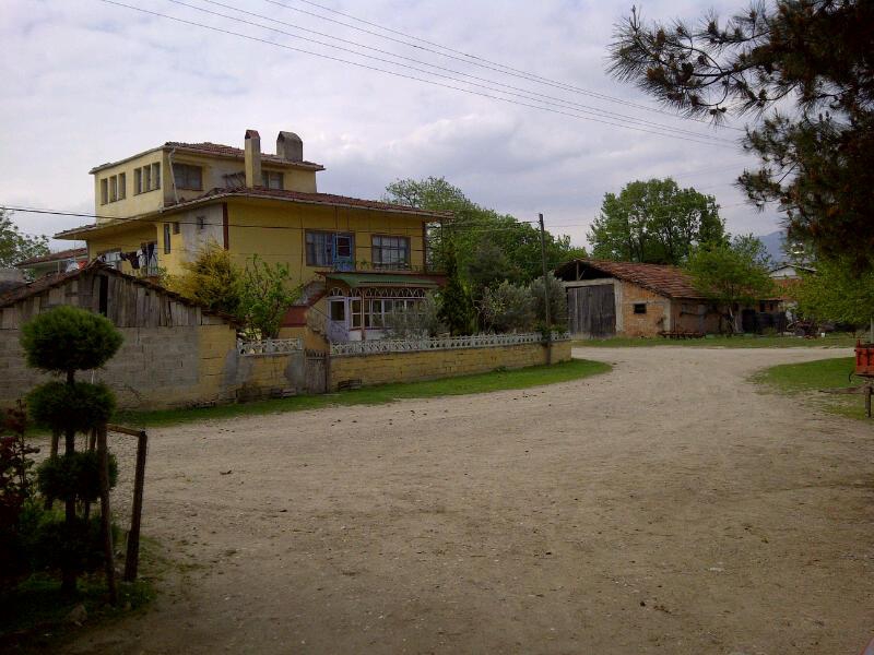 Defne Özbek Köyü Resimleri 7