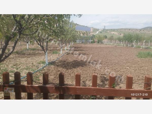 Elazığ Obuz Köyü Resimleri 2