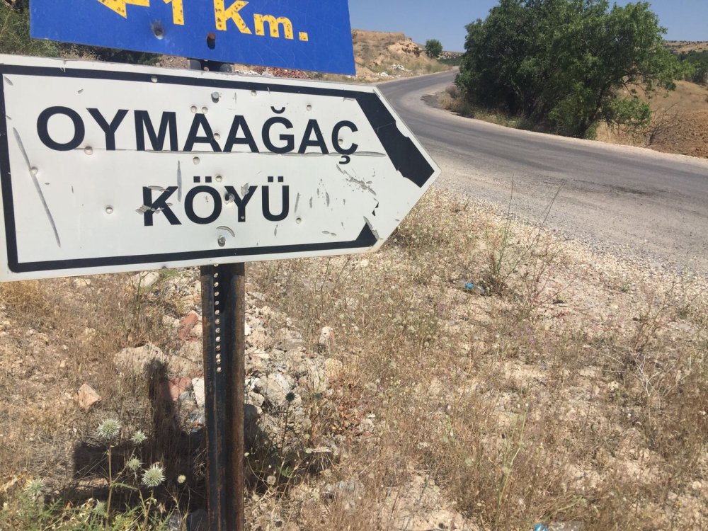 Elazığ Oymaağaç Köyü Resimleri 3