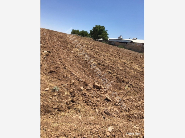 Elazığ Poyraz Köyü Resimleri 4