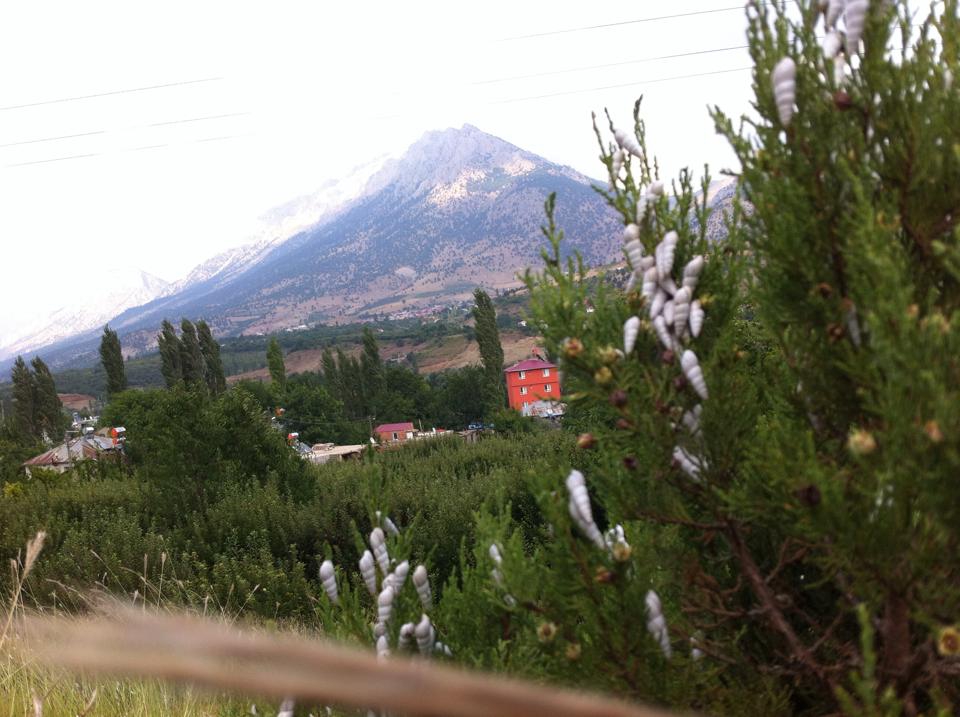 Adana Pozantı Kamışlı Köyü Resimleri 11