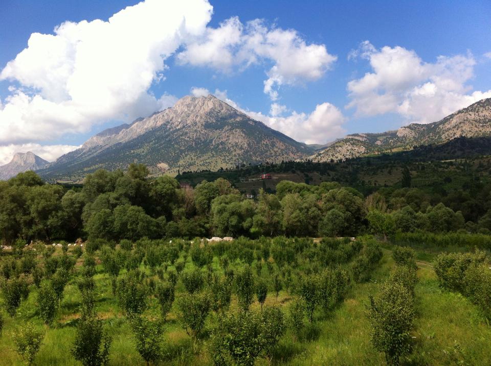 Adana Pozantı Kamışlı Köyü Resimleri 20