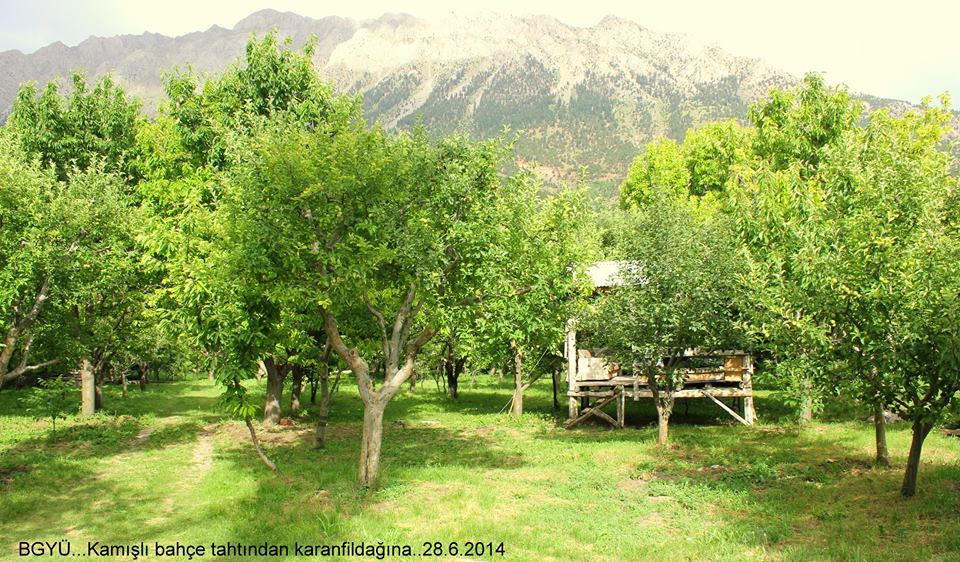 Adana Pozantı Kamışlı Köyü Resimleri 27