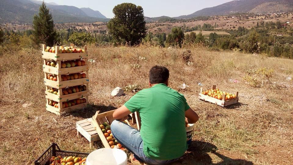 Adana Pozantı Kamışlı Köyü Resimleri 9