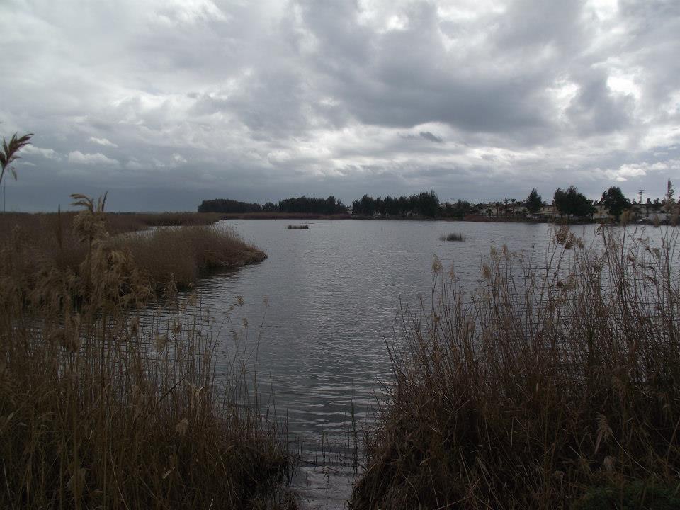 Dörtyol Yeniyurt Köyü Resimleri 2