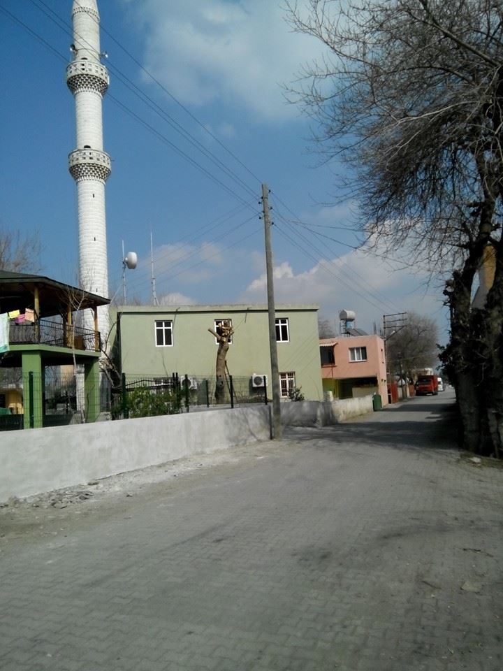 Erzin Aşağıburnaz Köyü Resimleri 10