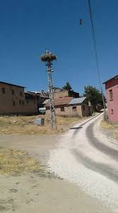 Elazığ Sarıyakup Köyü Resimleri 1