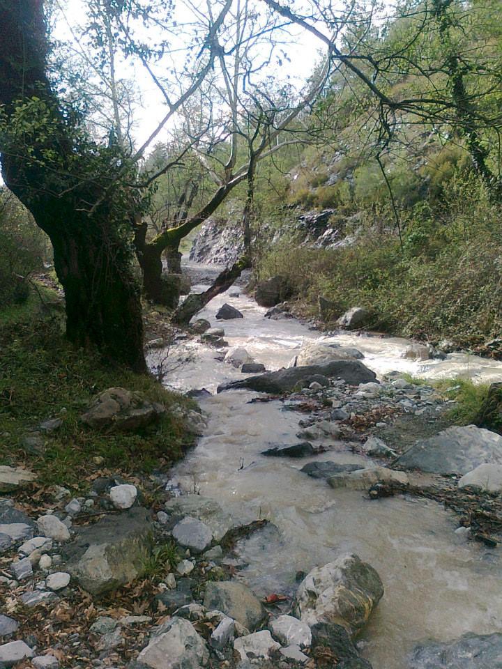 Erzin Kuyuluk Köyü Resimleri 8